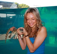 Crocosaurus Cove - 2032 Olympic Games