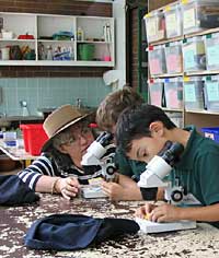 Australian National Botanic Gardens - 2032 Olympic Games 2
