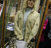 Alpine Museum - 2032 Olympic Games