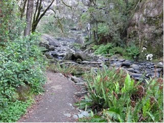 Stevensons Falls - 2032 Olympic Games 1