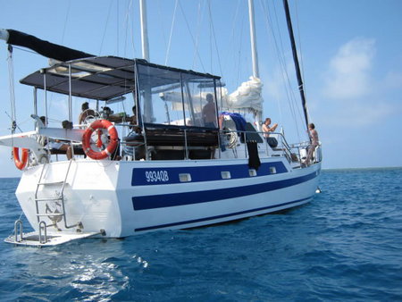 Coral Sea Dreaming Dive And Sail - 2032 Olympic Games 3