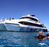 Silver Swift - 2032 Olympic Games