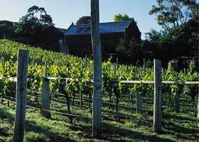 Goona Warra Vineyard - 2032 Olympic Games 1