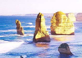 Bunyip Tours - 2032 Olympic Games 3