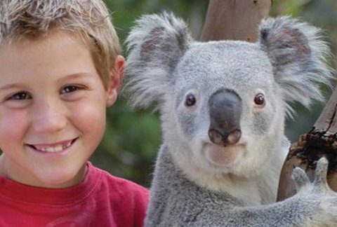 Featherdale Wildlife Park - 2032 Olympic Games 1