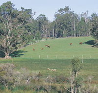 Scenic Drives - Bunbury Collie Donnybrook - 2032 Olympic Games