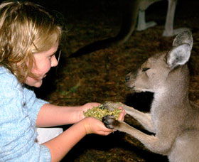 Discovery Bay's Walk On The Wild Side - 2032 Olympic Games 0