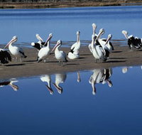 Peel Region Canoe Trails - 2032 Olympic Games