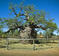 Pigeon Heritage Trail - 2032 Olympic Games