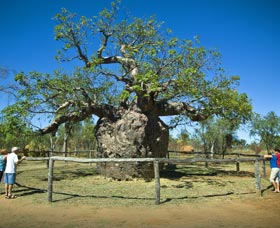 Pigeon Heritage Trail - 2032 Olympic Games 0