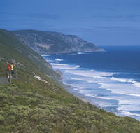 Sandpatch - 2032 Olympic Games