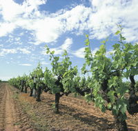 Blackwood Meadery - 2032 Olympic Games