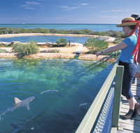 Shark Bay Marine Park - 2032 Olympic Games