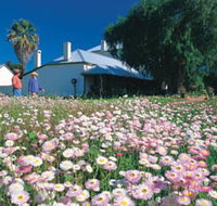Greenough Museum - 2032 Olympic Games