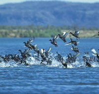 Ord River - 2032 Olympic Games