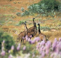 Jurabi Coastal Reserve - 2032 Olympic Games