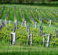 Sienna Estate Winery - 2032 Olympic Games