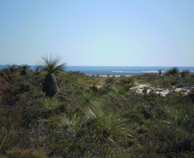 Lesueur National Park - 2032 Olympic Games 0