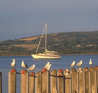 Oyster Harbour - 2032 Olympic Games