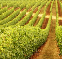 Darlington Estate Winery and Restaurant - 2032 Olympic Games