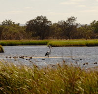 Anytime Adventures in Mandurah  the Peel Region - 2032 Olympic Games