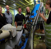 Eyre Peninsula's Seafood Trail - 2032 Olympic Games