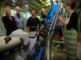 Eyre Peninsula's Seafood Trail - 2032 Olympic Games 0
