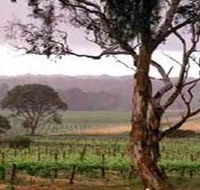 Yangarra Estate Vineyard - 2032 Olympic Games