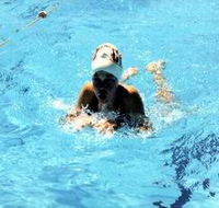 Mount Gambier Aquatic Centre - 2032 Olympic Games