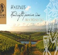 Maximus Wines Australia - 2032 Olympic Games