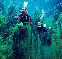 Ewens Ponds Conservation Park - 2032 Olympic Games