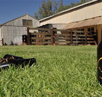 Wilkadene Woolshed Brewery - 2032 Olympic Games