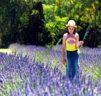 Brayfield Park Lavender Farm - 2032 Olympic Games
