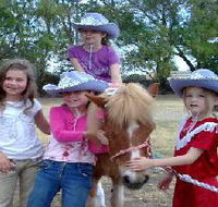Amberainbow Pony Rides - 2032 Olympic Games