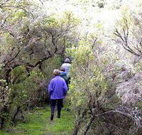 Jack And Hilda McArthur Walk - 2032 Olympic Games
