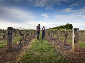 Coonawarra Wineries Walking Trail - 2032 Olympic Games 0