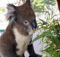 Glen-Forest Tourist Park - 2032 Olympic Games