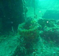 Wallaroo Scuba Club - 2032 Olympic Games