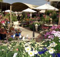 Serenity Nursery - 2032 Olympic Games