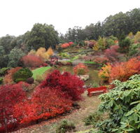 Emu Valley Rhododendron Garden - 2032 Olympic Games