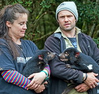 devilscradle - 2032 Olympic Games