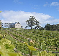Bruny Island Premium Wines Bar and Grill - 2032 Olympic Games