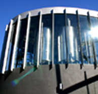 Moo Brew - 2032 Olympic Games