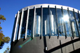 Moo Brew - 2032 Olympic Games 0