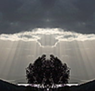 aart. Gallery of Fine Art - 2032 Olympic Games