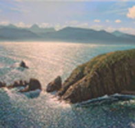 Colville Street Art Gallery - 2032 Olympic Games