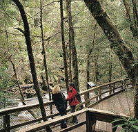 Franklin River Nature Trail - 2032 Olympic Games