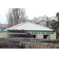 Richmond Maze and Tea Rooms - 2032 Olympic Games