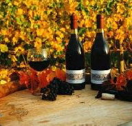 Craigow Vineyard - 2032 Olympic Games