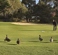 Royal Hobart Golf Club - 2032 Olympic Games